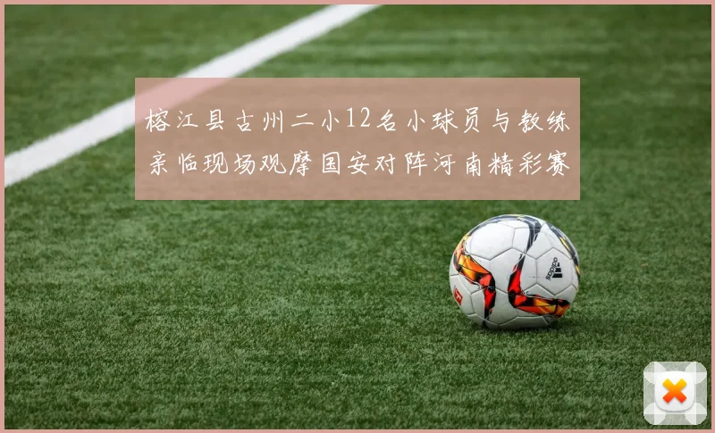 榕江县古州二小12名小球员与教练亲临现场观摩国安对阵河南精彩赛事